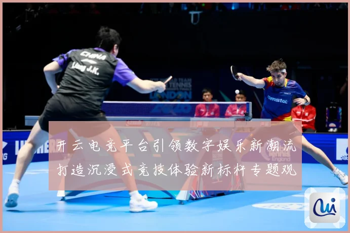 开云电竞平台引领数字娱乐新潮流打造沉浸式竞技体验新标杆专题观察：最新赛事动态与深度分析